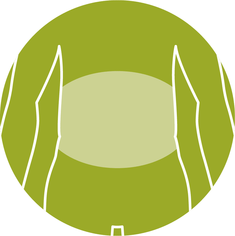 _element_icon_bauch